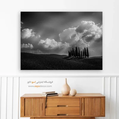 جدیدترین تابلو هنری سیاه و سفید شیک