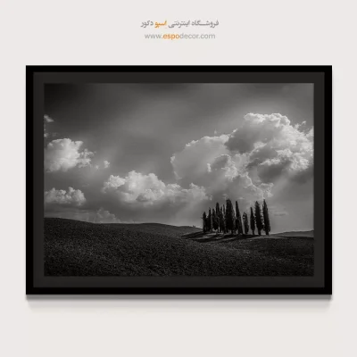 جدیدترین تابلو هنری سیاه و سفید شیک