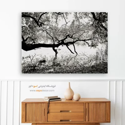 تابلو طبیعت مدرن - کهنسال – تابلو سیاه و سفید - اسپو دکور