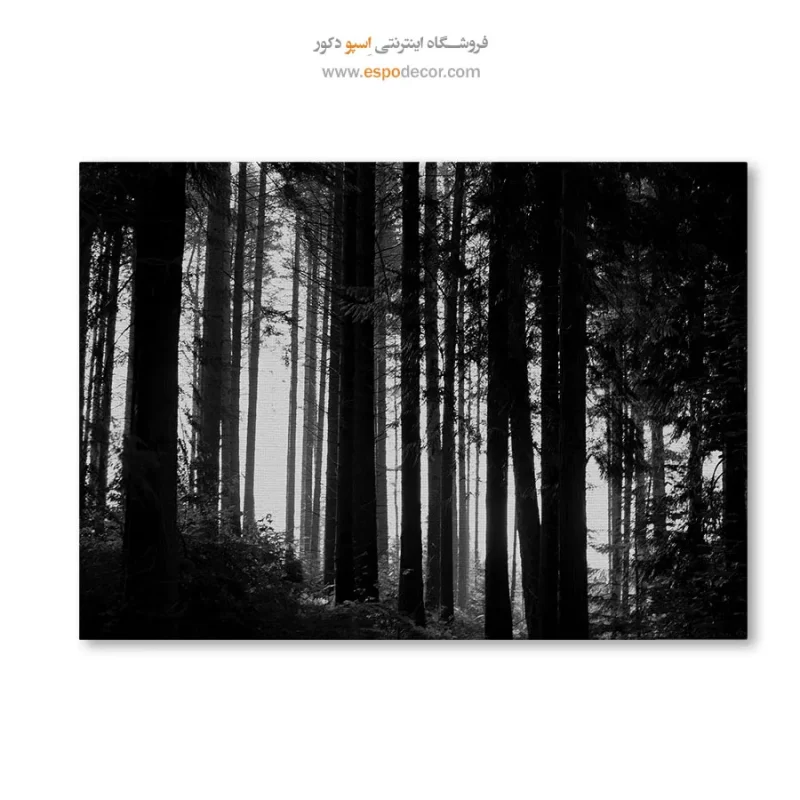 خرید تابلو مدرن سیاه و سفید هدیه