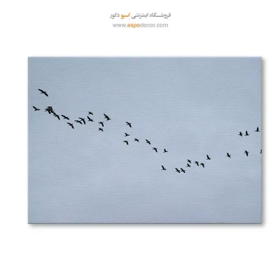 خرید اینترنتی تابلو بوم آنلاین مناسب هدیه