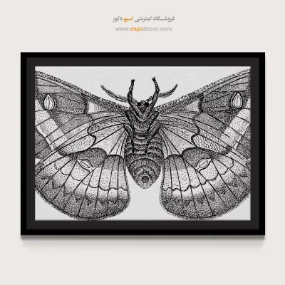 دکوراسیون هنری خاص - شب‌پره – تابلو سیاه و سفید - اسپو دکور