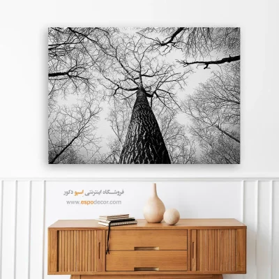 تابلو برای دکوراسیون مدرن اداری - تنفس – تابلو سیاه و سفید - اسپو دکور
