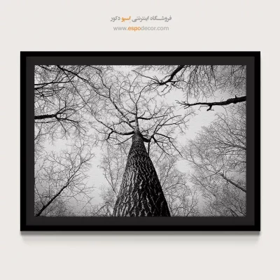 تابلو برای دکوراسیون مدرن اداری - تنفس – تابلو سیاه و سفید - اسپو دکور