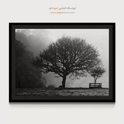 خرید تابلو هنری سیاه و سفید ارزان
