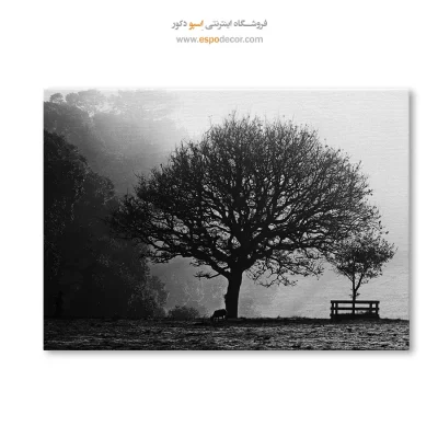 خرید تابلو هنری سیاه و سفید ارزان