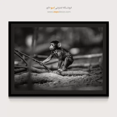 تابلو اتاق کودک - کودک جنگل – تابلو سیاه و سفید - اسپو دکور