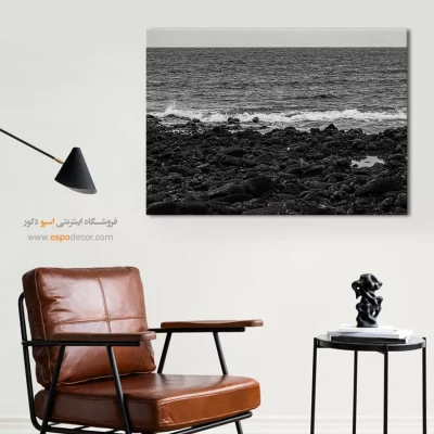 خرید تابلو فانتزی سیاه و سفید مخصوص پذیرایی