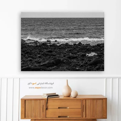 خرید تابلو فانتزی سیاه و سفید مخصوص پذیرایی