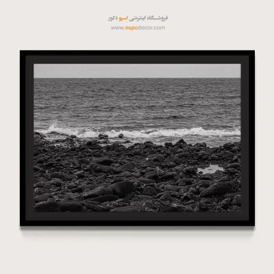 خرید تابلو فانتزی سیاه و سفید مخصوص پذیرایی