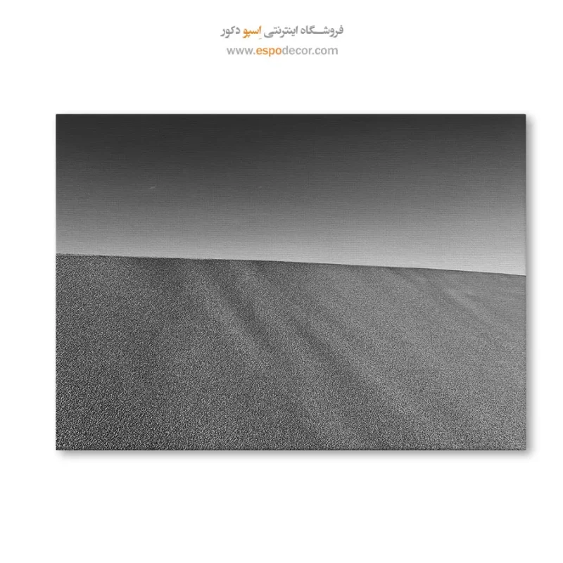 خرید تابلو دیواری سیاه و سفید جدید