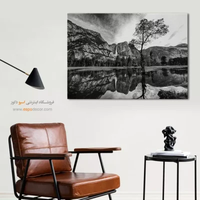 پارک ملی یوسمیتی – تابلو سیاه و سفید - تابلو پارک ملی یوسمیتی - اسپو دکور