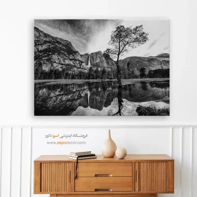 پارک ملی یوسمیتی – تابلو سیاه و سفید - تابلو پارک ملی یوسمیتی - اسپو دکور