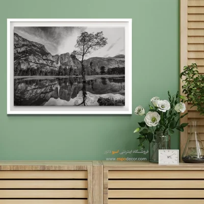 پارک ملی یوسمیتی – تابلو سیاه و سفید - تابلو پارک ملی یوسمیتی - اسپو دکور