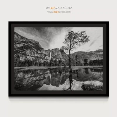 پارک ملی یوسمیتی – تابلو سیاه و سفید - تابلو پارک ملی یوسمیتی - اسپو دکور