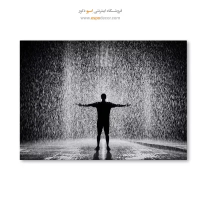 خرید تابلو فانتزی سیاه و سفید شیک