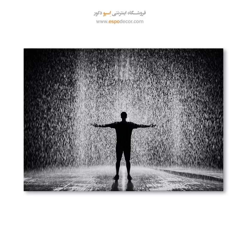 خرید تابلو فانتزی سیاه و سفید شیک