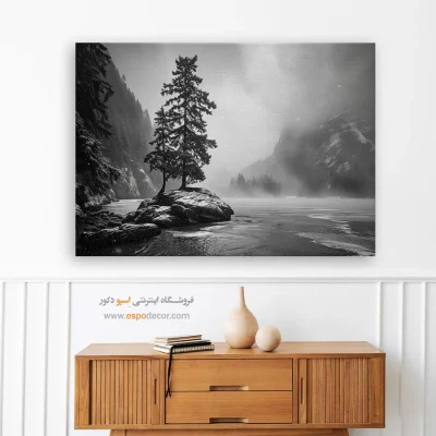 تابلو برای دکوراسیون مینیمال سفید - سکوت – تابلو سیاه و سفید - اسپو دکور