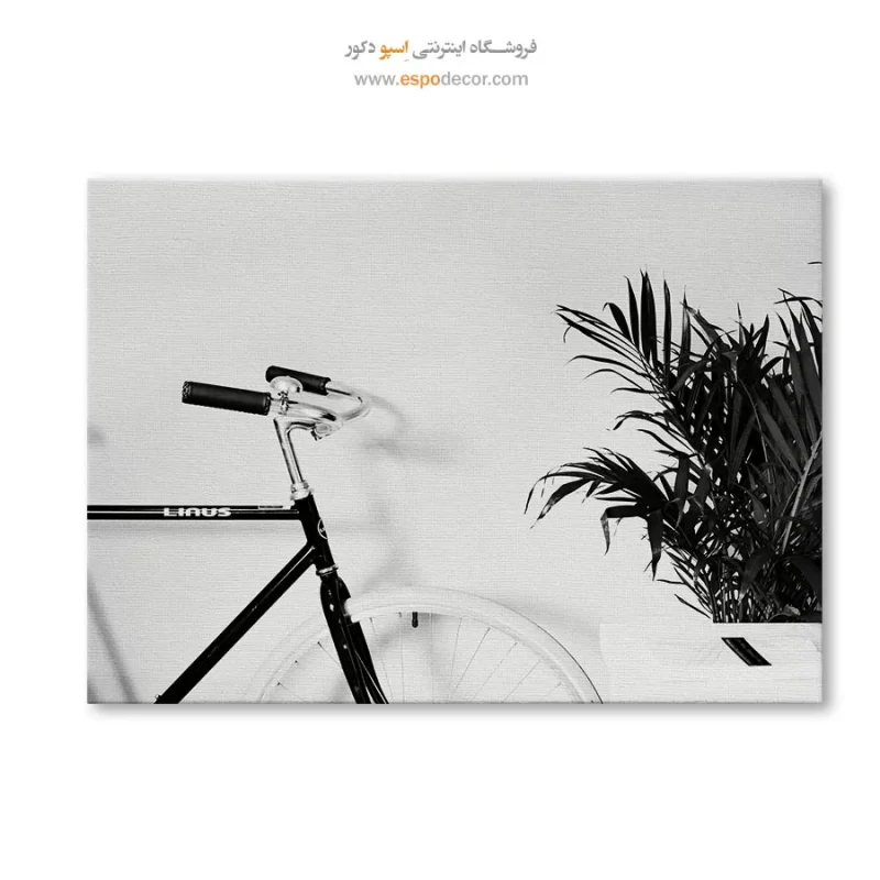 خرید تابلو اتاق خواب سیاه و سفید ارزان