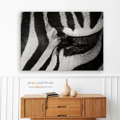 تابلو طرح راه راه - نگاه وحشی – تابلو سیاه و سفید - اسپو دکور
