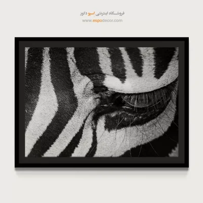 تابلو طرح راه راه - نگاه وحشی – تابلو سیاه و سفید - اسپو دکور