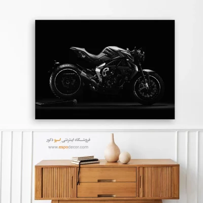 تابلو لاکچری مردانه - شتاب خاموش – تابلو سیاه و سفید - اسپو دکور