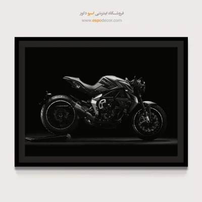 تابلو لاکچری مردانه - شتاب خاموش – تابلو سیاه و سفید - اسپو دکور