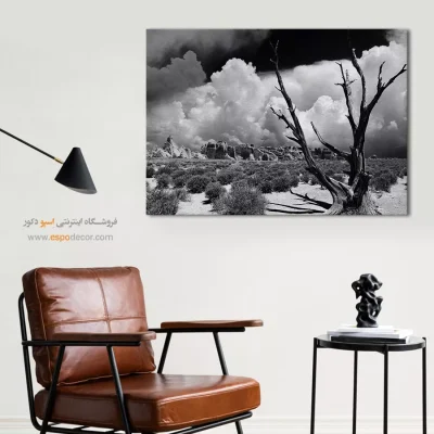 تابلو سیاه و سفید کنتراست بالا - ایستادگی – تابلو سیاه و سفید - اسپو دکور