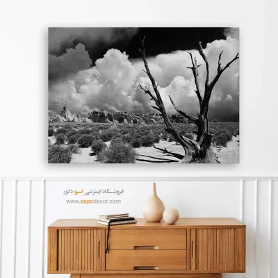 تابلو سیاه و سفید کنتراست بالا - ایستادگی – تابلو سیاه و سفید - اسپو دکور