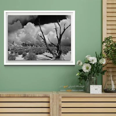 تابلو سیاه و سفید کنتراست بالا - ایستادگی – تابلو سیاه و سفید - اسپو دکور