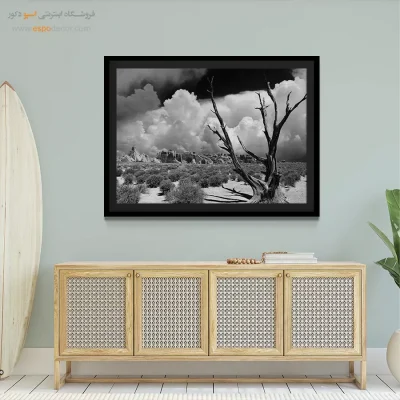 تابلو سیاه و سفید کنتراست بالا - ایستادگی – تابلو سیاه و سفید - اسپو دکور