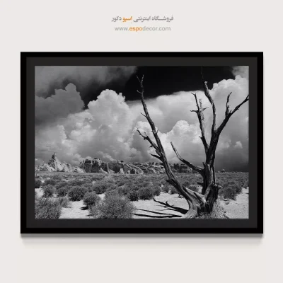 تابلو سیاه و سفید کنتراست بالا - ایستادگی – تابلو سیاه و سفید - اسپو دکور