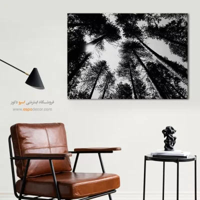 تابلو جنگل کاج - سقف طبیعت – تابلو سیاه و سفید - اسپو دکور