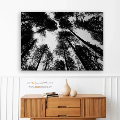 تابلو جنگل کاج - سقف طبیعت – تابلو سیاه و سفید - اسپو دکور