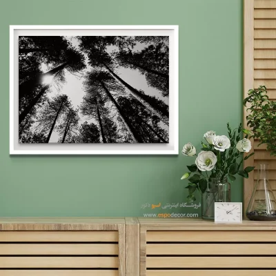 تابلو جنگل کاج - سقف طبیعت – تابلو سیاه و سفید - اسپو دکور