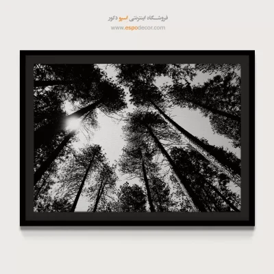 تابلو جنگل کاج - سقف طبیعت – تابلو سیاه و سفید - اسپو دکور
