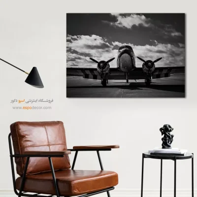 تابلو دفتر کار مردانه - ملخی – تابلو سیاه و سفید - اسپو دکور