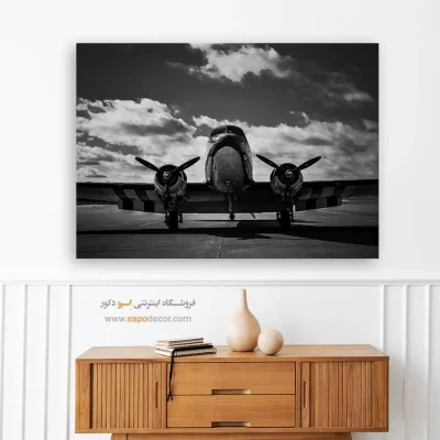 تابلو دفتر کار مردانه - ملخی – تابلو سیاه و سفید - اسپو دکور
