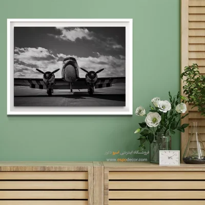 تابلو دفتر کار مردانه - ملخی – تابلو سیاه و سفید - اسپو دکور