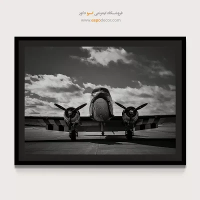 تابلو دفتر کار مردانه - ملخی – تابلو سیاه و سفید - اسپو دکور