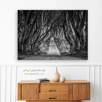 تابلو جاده جنگلی - تونل درختی – تابلو سیاه و سفید - اسپو دکور