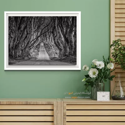 تابلو جاده جنگلی - تونل درختی – تابلو سیاه و سفید - اسپو دکور