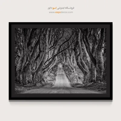 تابلو جاده جنگلی - تونل درختی – تابلو سیاه و سفید - اسپو دکور