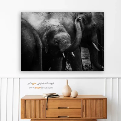 تابلو سیاه و سفید حیات وحش - خانواده مهربان – تابلو سیاه و سفید - اسپو دکور