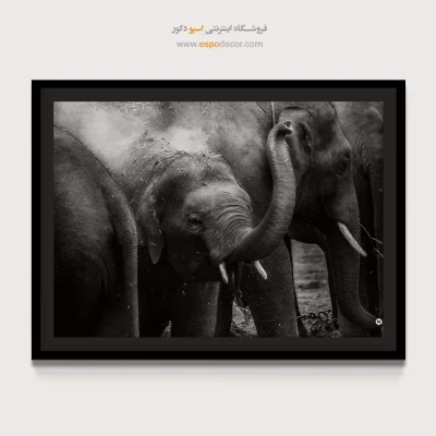 تابلو سیاه و سفید حیات وحش - خانواده مهربان – تابلو سیاه و سفید - اسپو دکور