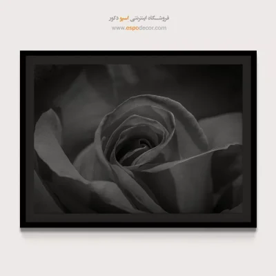 تابلو عاشقانه برای اتاق خواب - قلب رز – تابلو سیاه و سفید - اسپو دکور