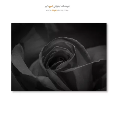 خرید قیمت تابلو سیاه و سفید جدید