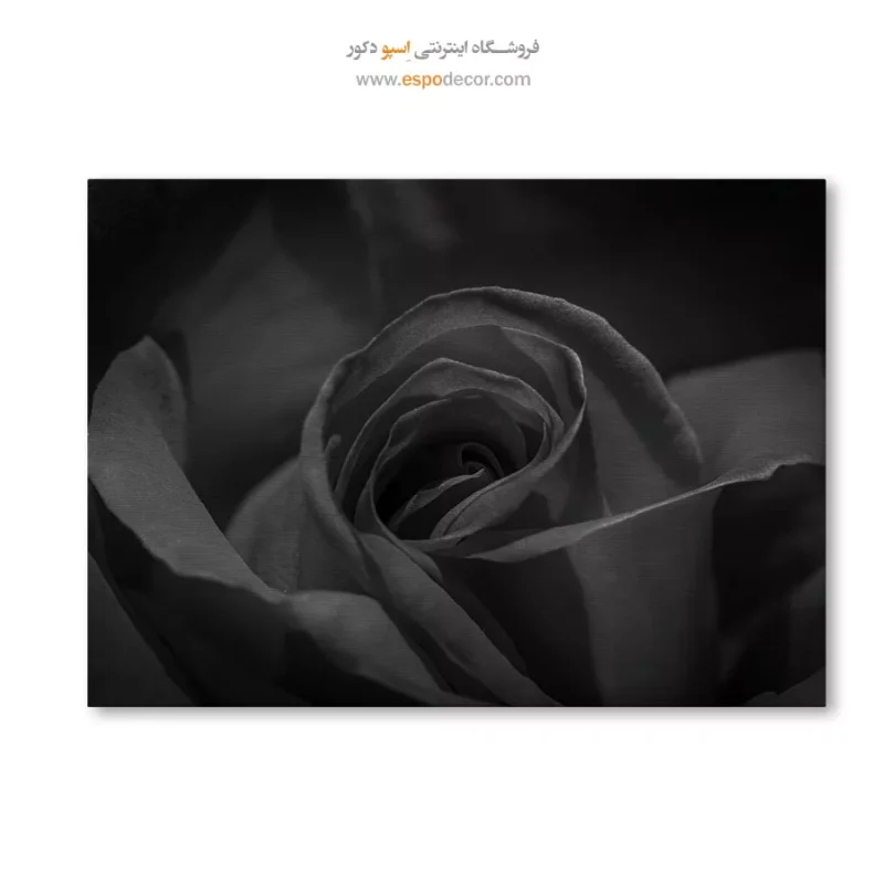 خرید قیمت تابلو سیاه و سفید جدید