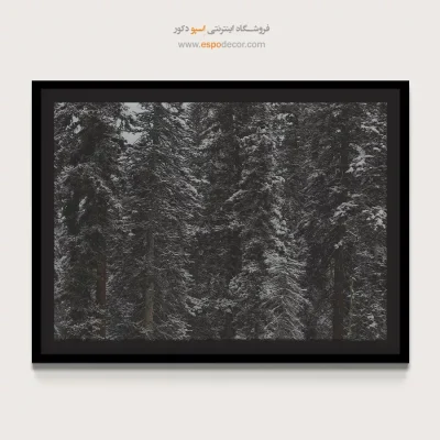 دکوراسیون rustic - برف و کاج – تابلو سیاه و سفید - اسپو دکور