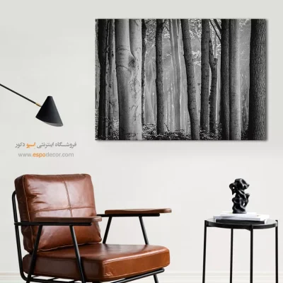 تابلو برای پذیرایی - جنگل راش – تابلو سیاه و سفید - اسپو دکور
